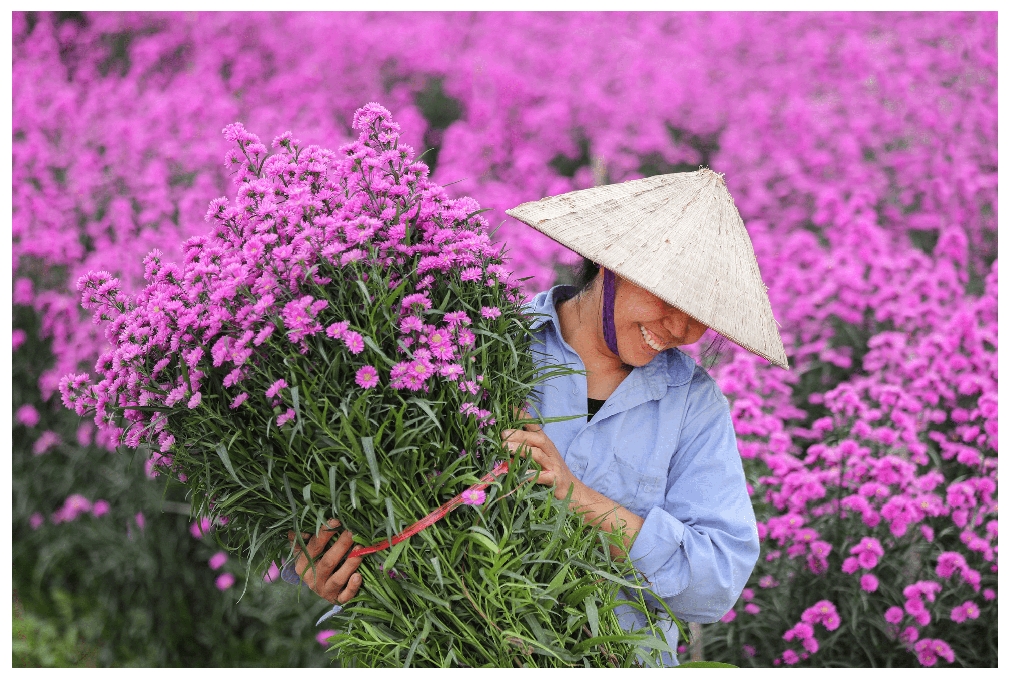 Niềm vui ngày xuân của tác giả Vũ Minh Quân (Hà Nội) giành giải Ba.