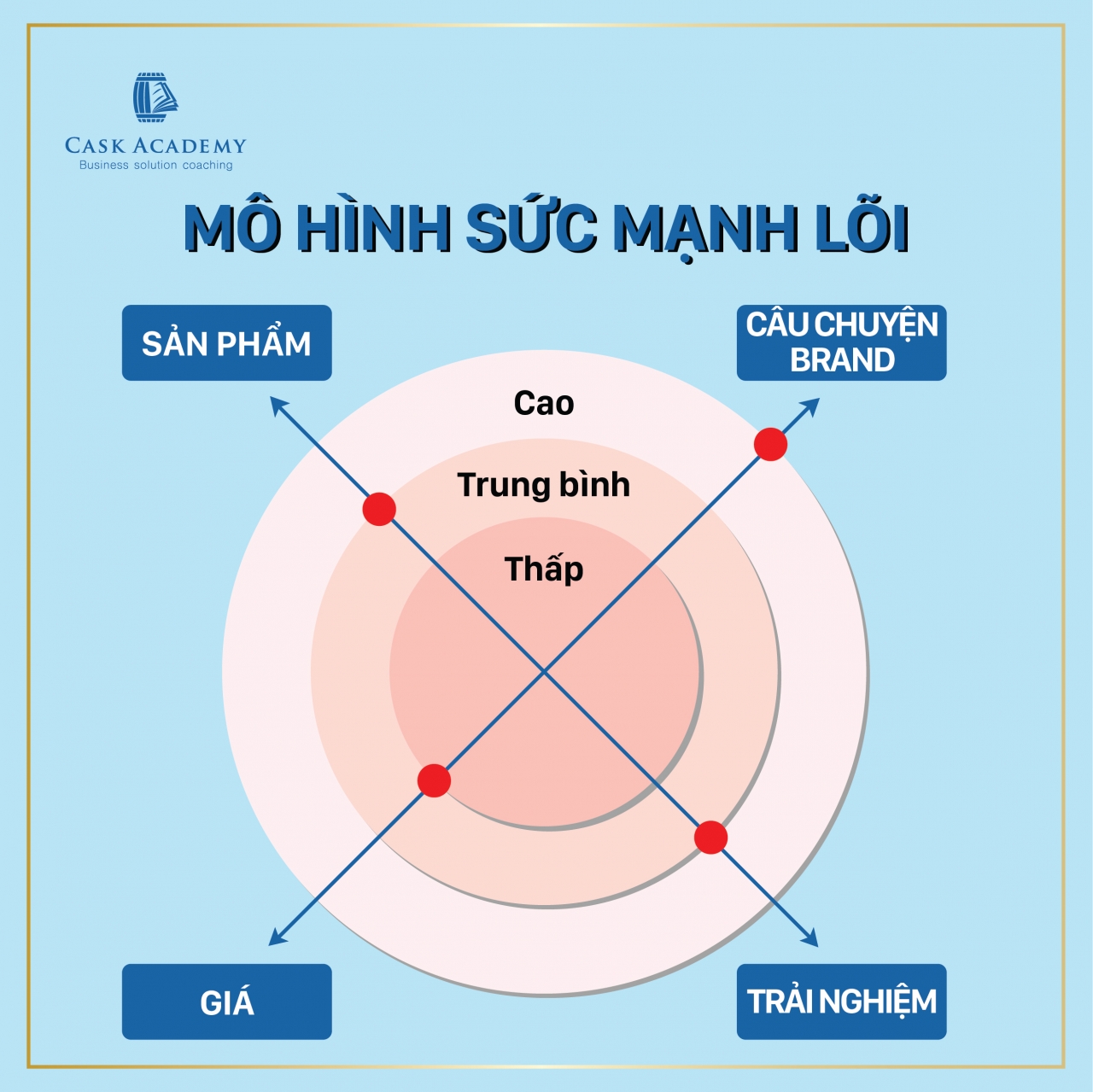              Sức mạnh nền tảng: Nền tảng vững chắc cho xây dựng thương hiệu                        