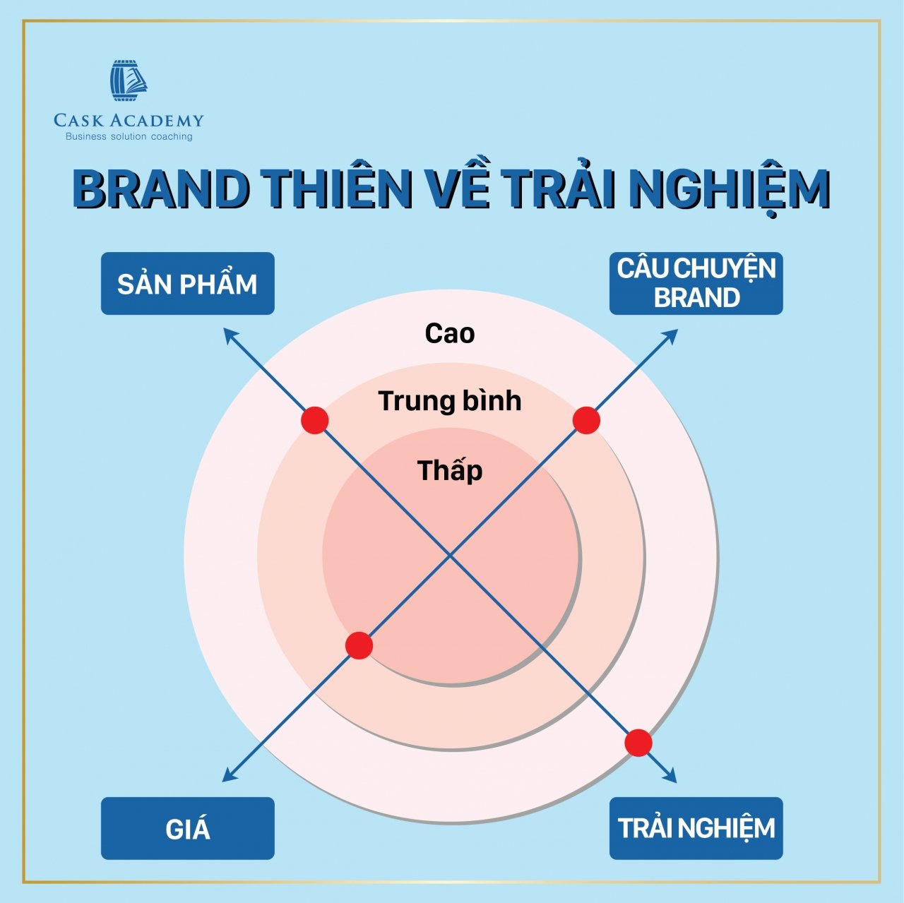              Sức mạnh nền tảng: Nền tảng vững chắc cho xây dựng thương hiệu                        
