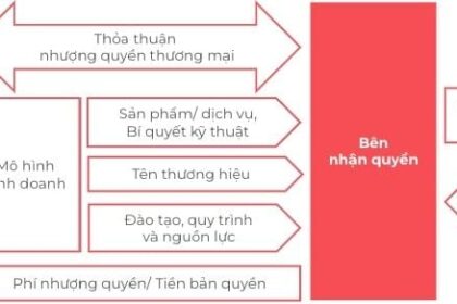 Nhượng quyền thương mại: Ưu điểm và hạn chế so với kinh doanh truyền thống