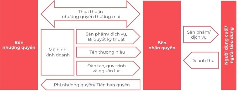  Nhượng quyền thương mại: Ưu điểm và hạn chế so với kinh doanh truyền thống