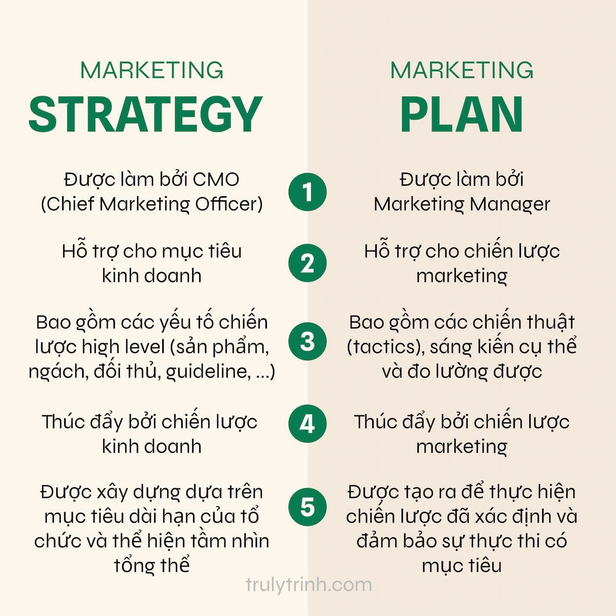  Chiến lược Marketing và Kế hoạch Marketing: Hai trụ cột của Hoạt động Marketing Hiệu quả