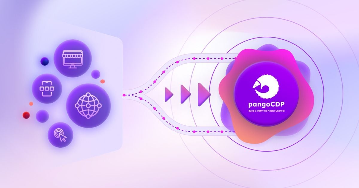   Thực trạng và tương lai của nền tảng CDP tại Việt Nam 
