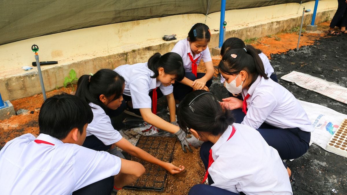             Giáo dục bền vững: Sứ mệnh của Teach For Viet Nam            