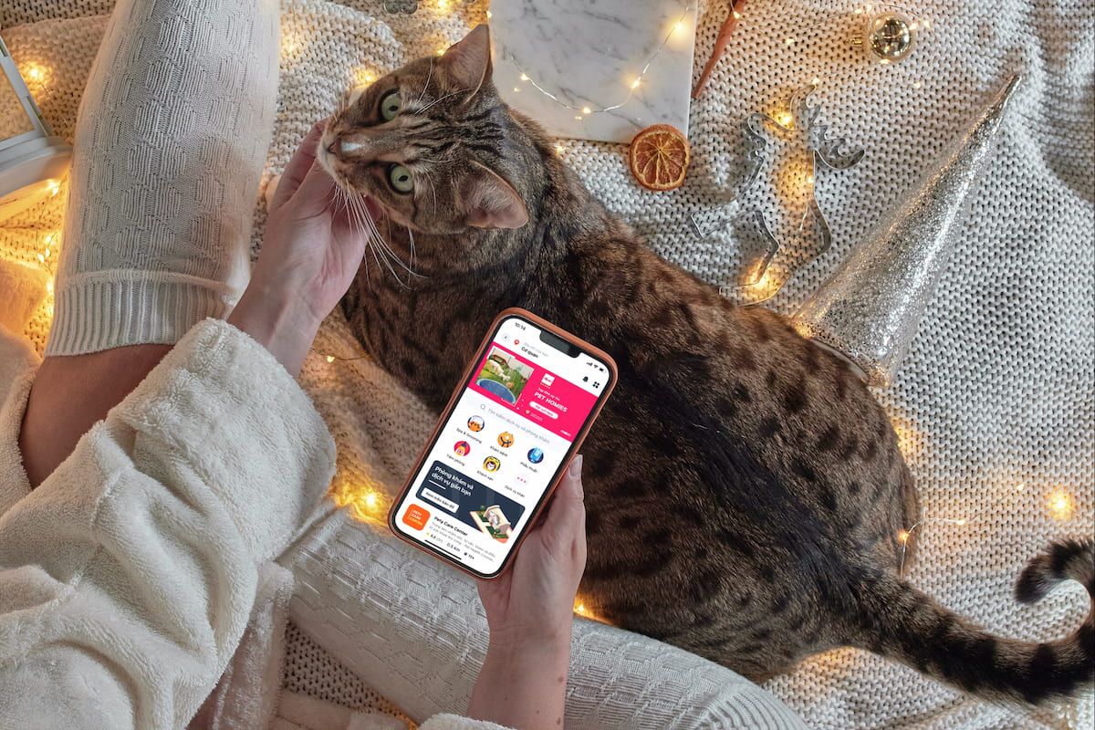  Pety: Nền tảng toàn diện dành cho người yêu thú cưng