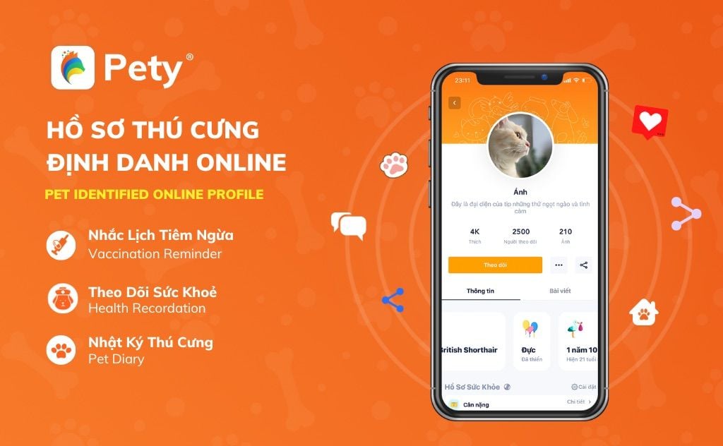  Pety: Nền tảng toàn diện dành cho người yêu thú cưng