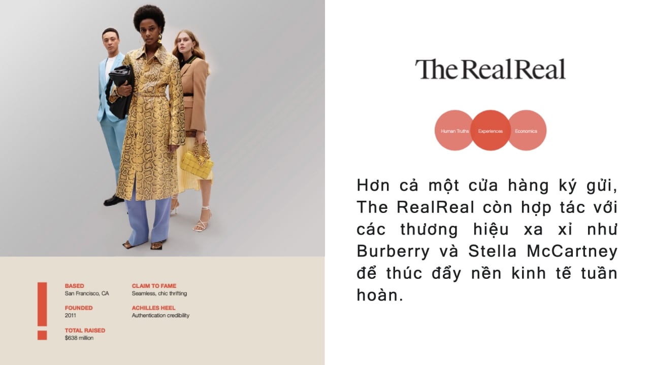  Thương hiệu đột phá: Phá vỡ khuôn mẫu, dẫn đầu xu hướng