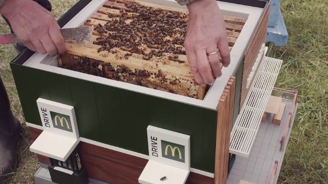  Chiến dịch McHive của McDonald's: Bảo vệ loài ong và nâng cao thương hiệu