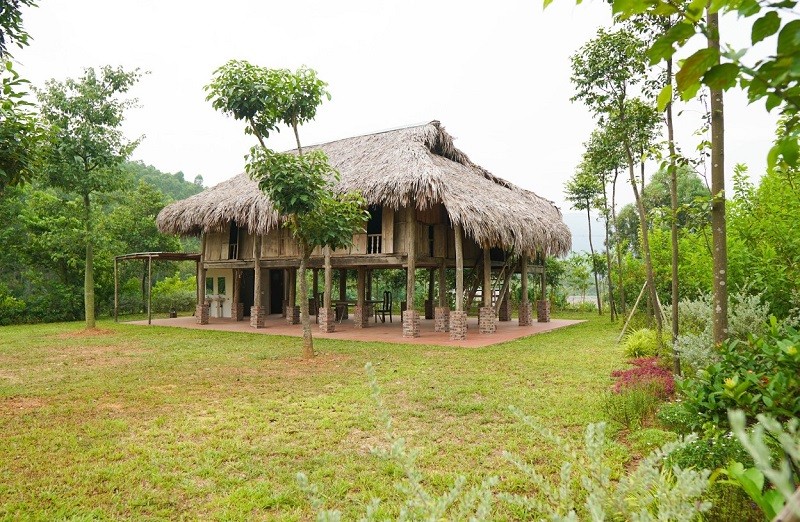  Tổ chức Team Building Học sinh: Lợi ích và Quy trình