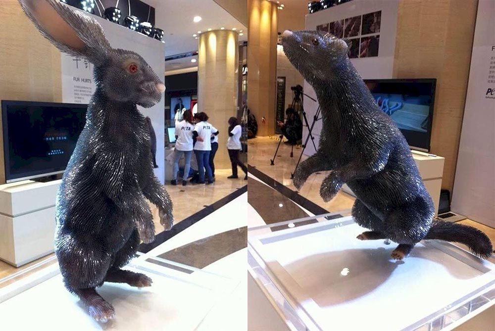  Chiến dịch "Fur Hurts": Tiếng nói lên án ngành công nghiệp thời trang lông thú tàn khốc
