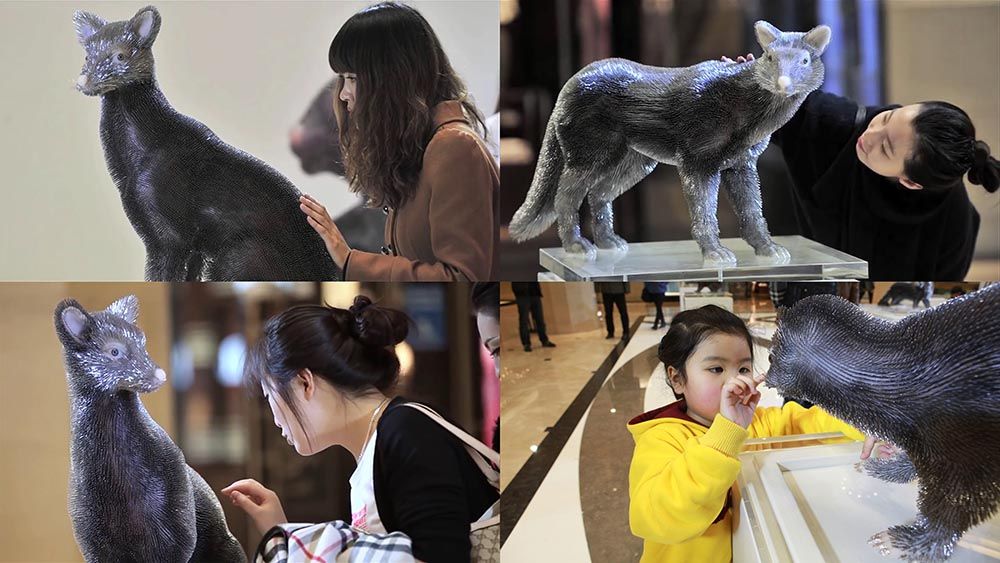  Chiến dịch "Fur Hurts": Tiếng nói lên án ngành công nghiệp thời trang lông thú tàn khốc