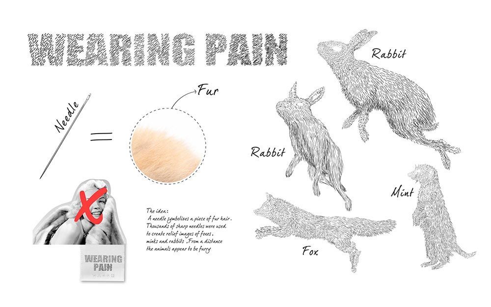  Chiến dịch "Fur Hurts": Tiếng nói lên án ngành công nghiệp thời trang lông thú tàn khốc
