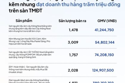 Ăn Theo Trend TikTok: Các Gian Hàng TMĐT Thu Về Hàng Trăm Triệu Đồng Nhờ Cây Thông Kẽm Nhung Tự Làm