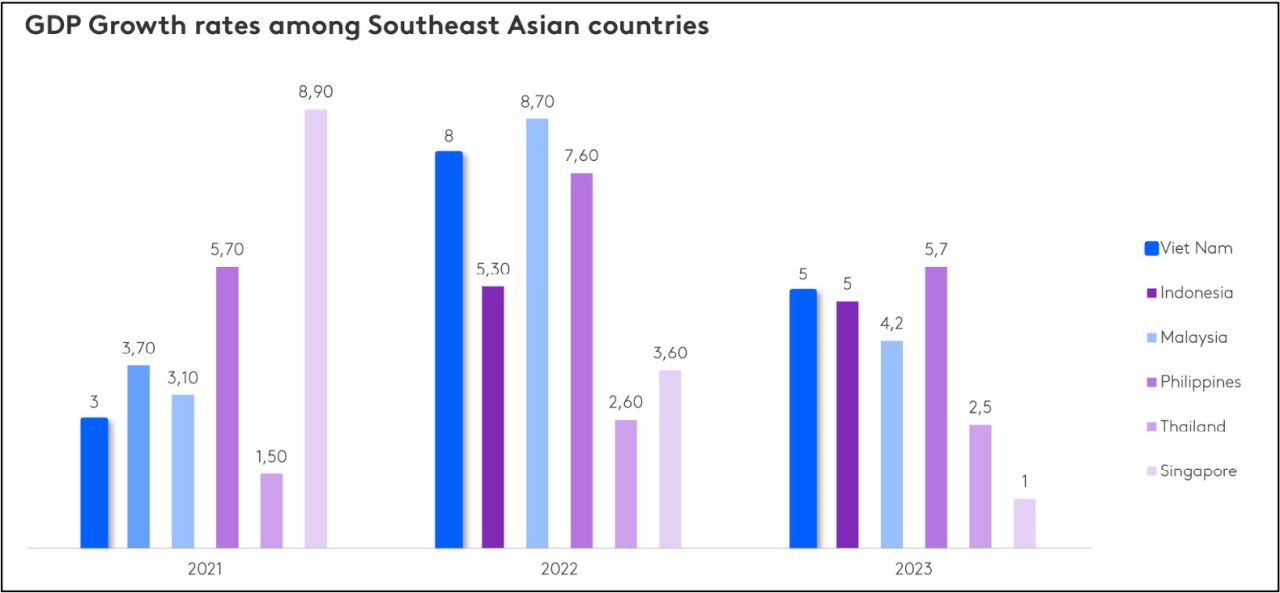  Bối cảnh và chiến lược tăng trưởng của ngành hàng tiêu dùng nhanh Việt Nam trong năm 2024