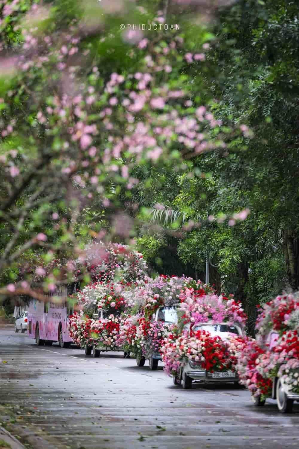  Màn Tỏ Tình Độc Đáo Của Ecopark: Mang Hoa Hồng Đến Mọi Người Trong Ngày Lễ Tình Yêu