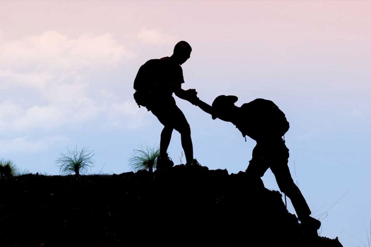 Người cố vấn trong sự nghiệp: Bí quyết để phát triển và thành công