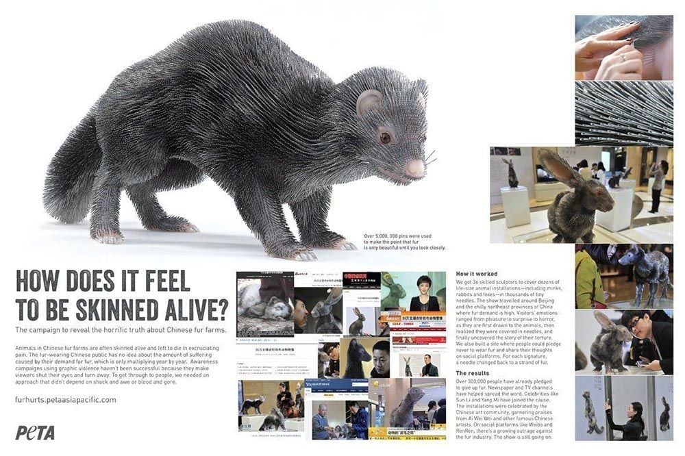   Chiến dịch "Fur Hurts": Tiết lộ sự tàn khốc của ngành công nghiệp thời trang lông thú 