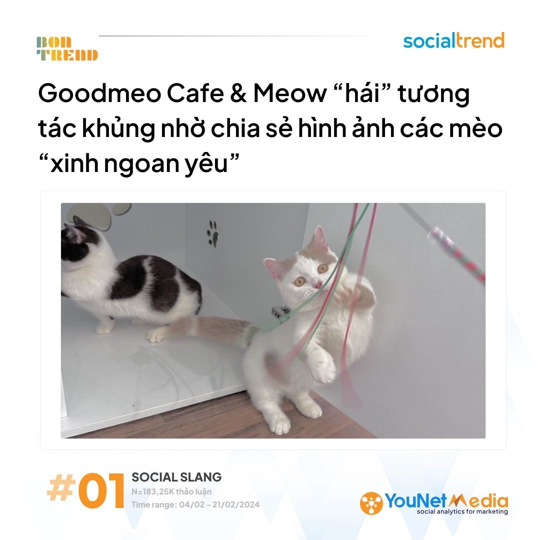  "Ngoan Xinh Yêu": Hiện tượng Mạng Từ "Hệ Tư Tưởng Pamyeuoi"