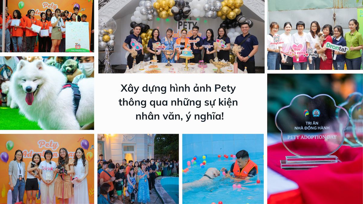  Pety: Nền tảng toàn diện cho người yêu thú cưng