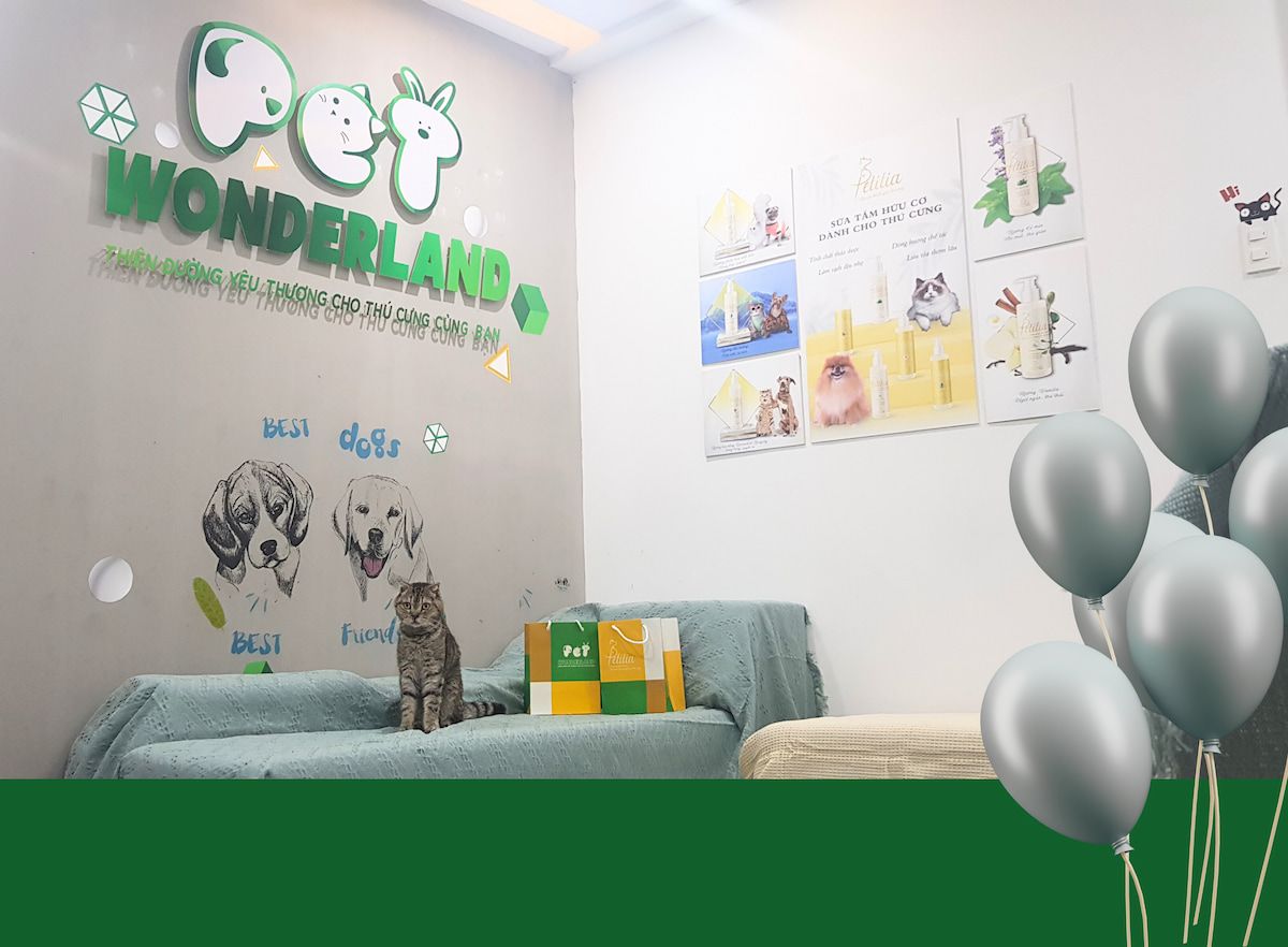  Pet Wonderland: Xây dựng hệ sinh thái toàn diện cho thú cưng và chủ nuôi