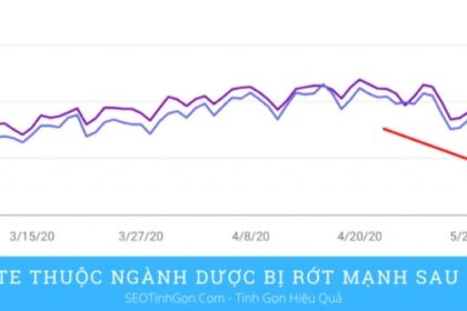 Cập nhật giải thuật Google ngày 5/5/2023: Ảnh hưởng, nguyên nhân và phương pháp khắc phục