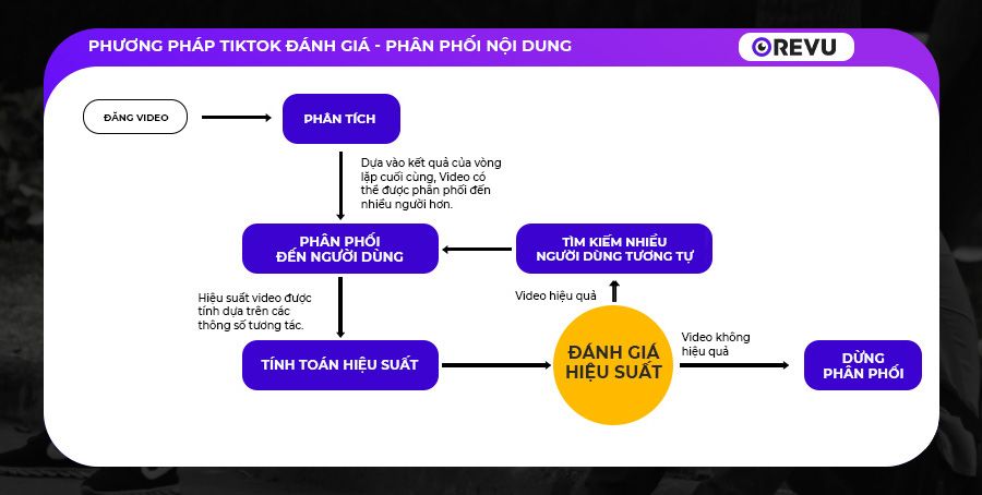  Thuật toán TikTok: Giải mã bí mật đằng sau sự gây nghiện siêu tốc