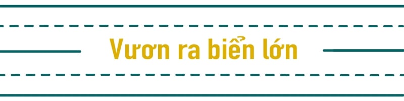  Hành trình Trở thành Management Trainee tại Unilever: Từ Quản lý Bán hàng đến Quản lý Thương hiệu Toàn cầu