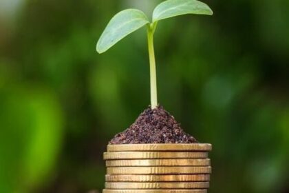 Hướng dẫn toàn diện về nguồn tài trợ hạt giống cho startup