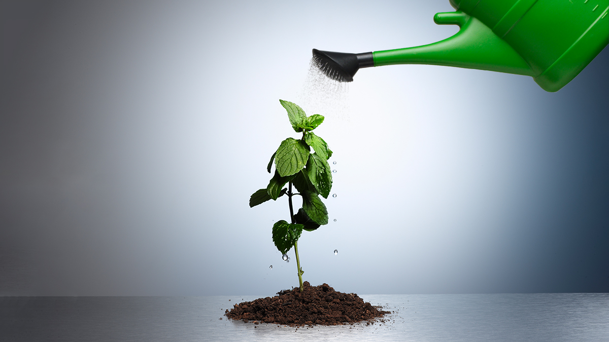  Vai trò của Digital Marketing trong Doanh nghiệp: Yếu tố then chốt ảnh hưởng đến Tác động