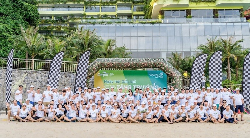  Team Building Bãi Biển: Hướng Dẫn Tổ Chức Chi Tiết