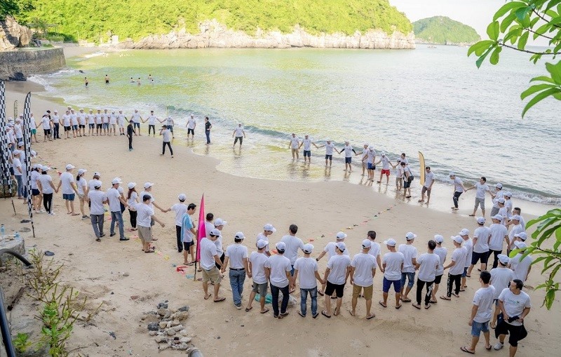  Team Building Bãi Biển: Hướng Dẫn Tổ Chức Chi Tiết