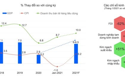 Tổng quan về Ngành Hàng FMCG Việt Nam Năm 2020