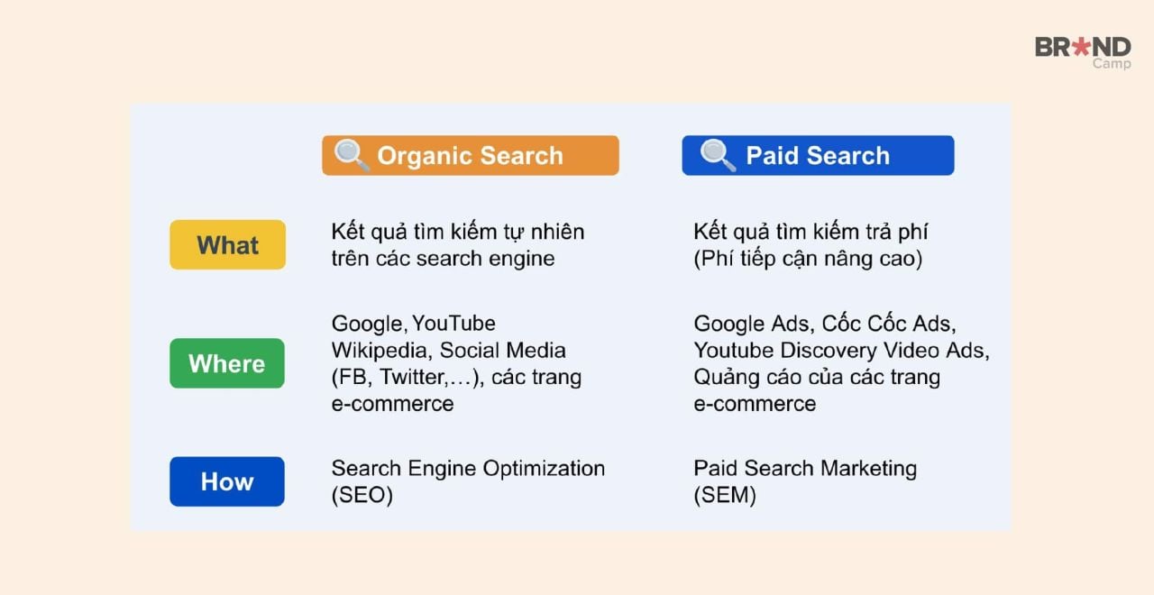              Vai trò và Ứng dụng của Search Marketing trong Chiến lược Marketing Hiện Đại            