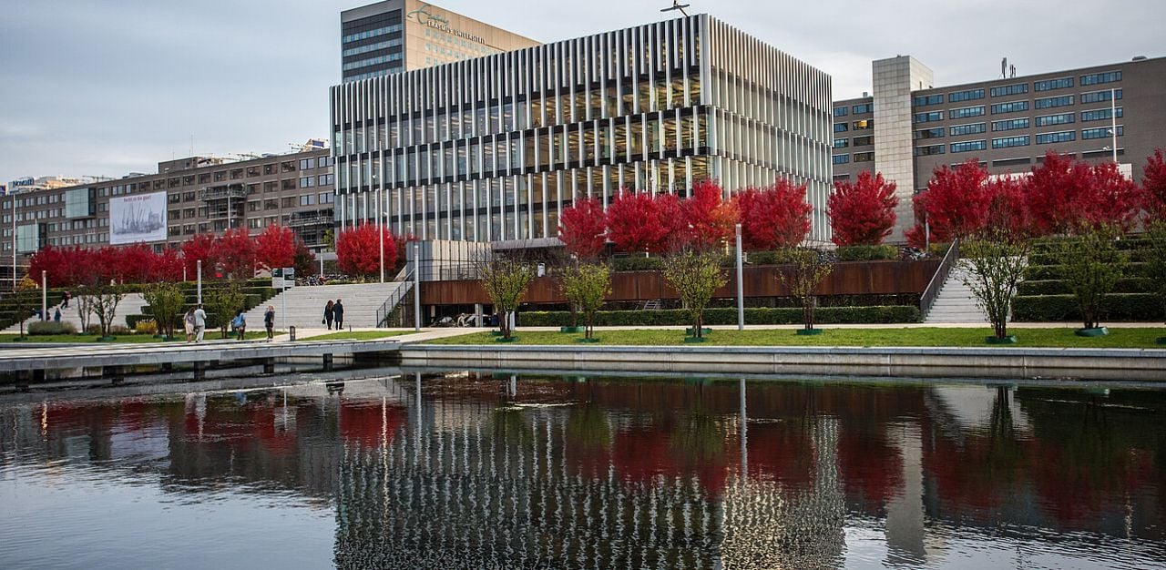  Chuyến Du Học Chuyển Đổi: Hành Trình MBA tại Rotterdam School of Management