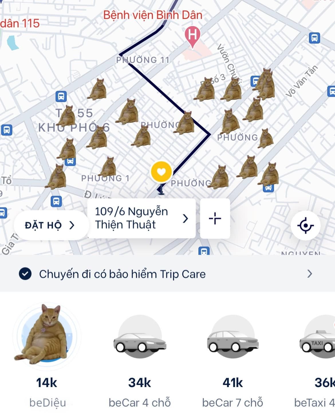              Thú cưng - "Đại sứ 4 chân" trong chiến dịch truyền thông thương hiệu            