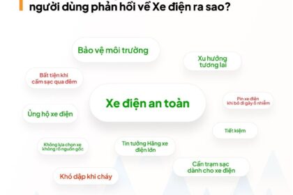 Xe điện: Từ oan ức đến sự ủng hộ mạnh mẽ
