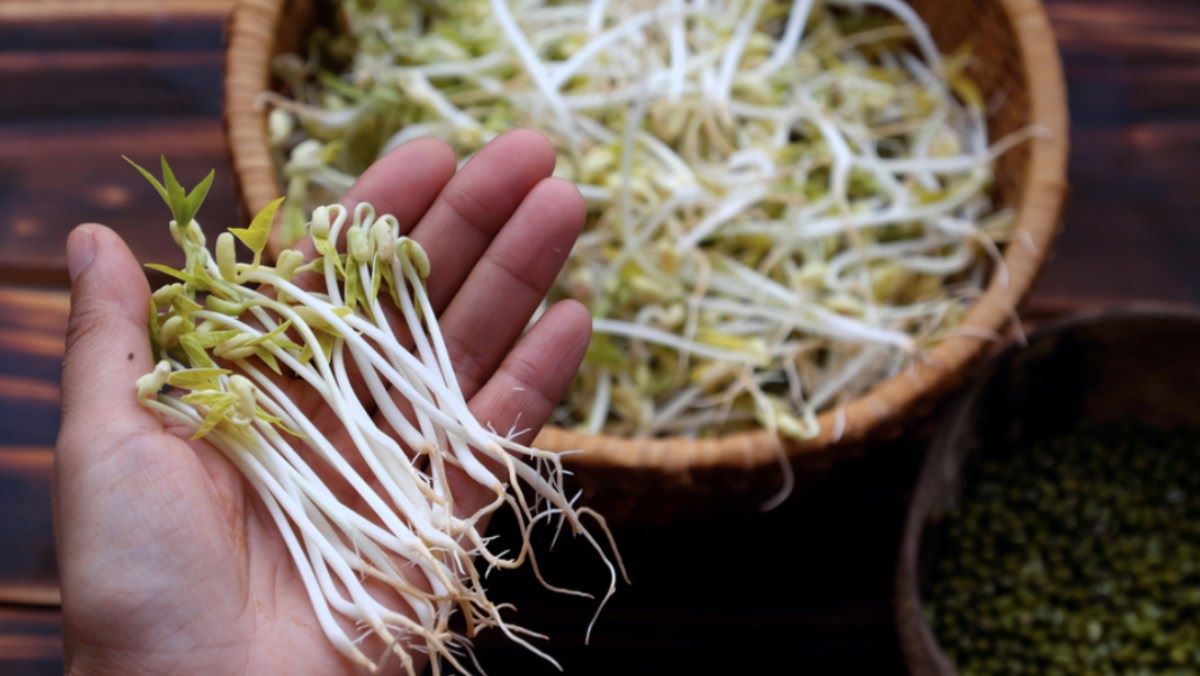  Tổ chức Chuyến Đi Công ty: Từ Giá Rẻ đến Giá Trị và Cảm Xúc