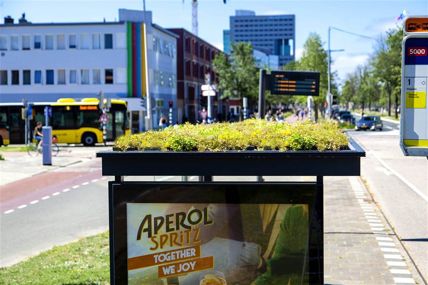  Utrecht: Thành phố xanh với "Mái nhà xanh" cho loài ong