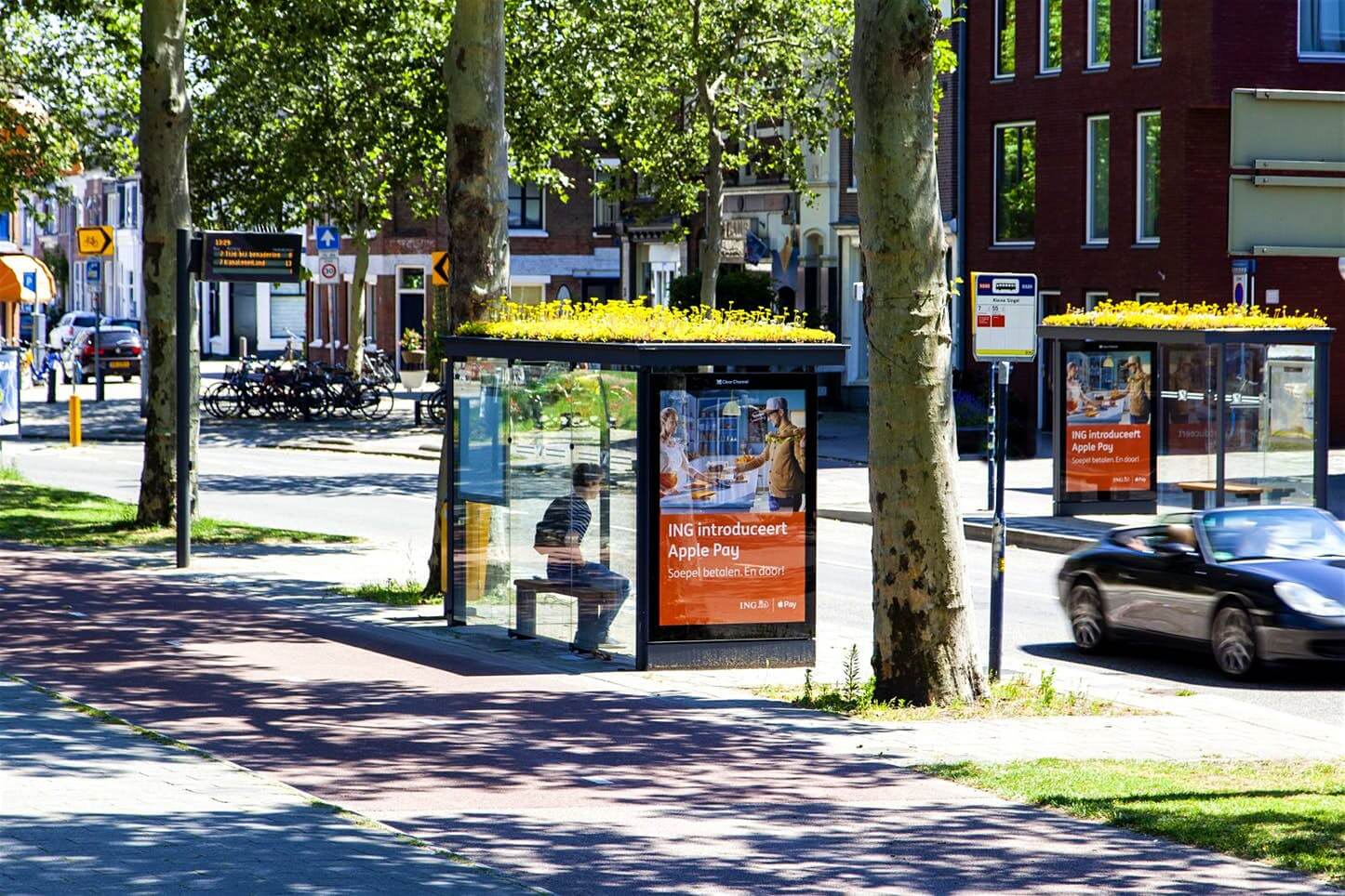  Utrecht: Thành phố xanh với "Mái nhà xanh" cho loài ong