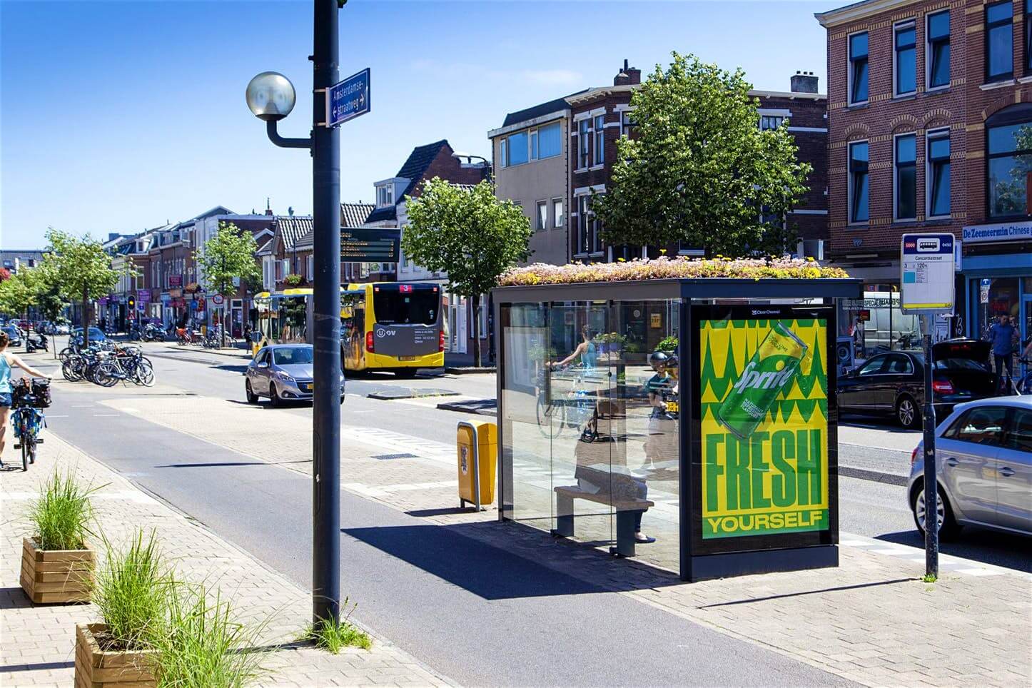  Utrecht: Thành phố xanh với "Mái nhà xanh" cho loài ong