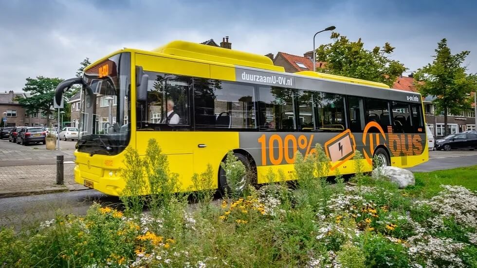  Utrecht: Thành phố xanh với "Mái nhà xanh" cho loài ong