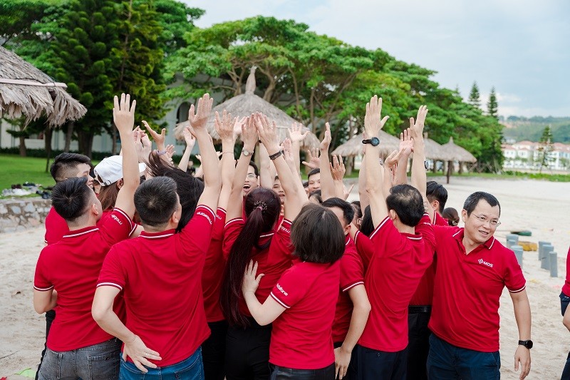              Team Building: Lợi ích và Kế hoạch Tổ chức Thành Công            