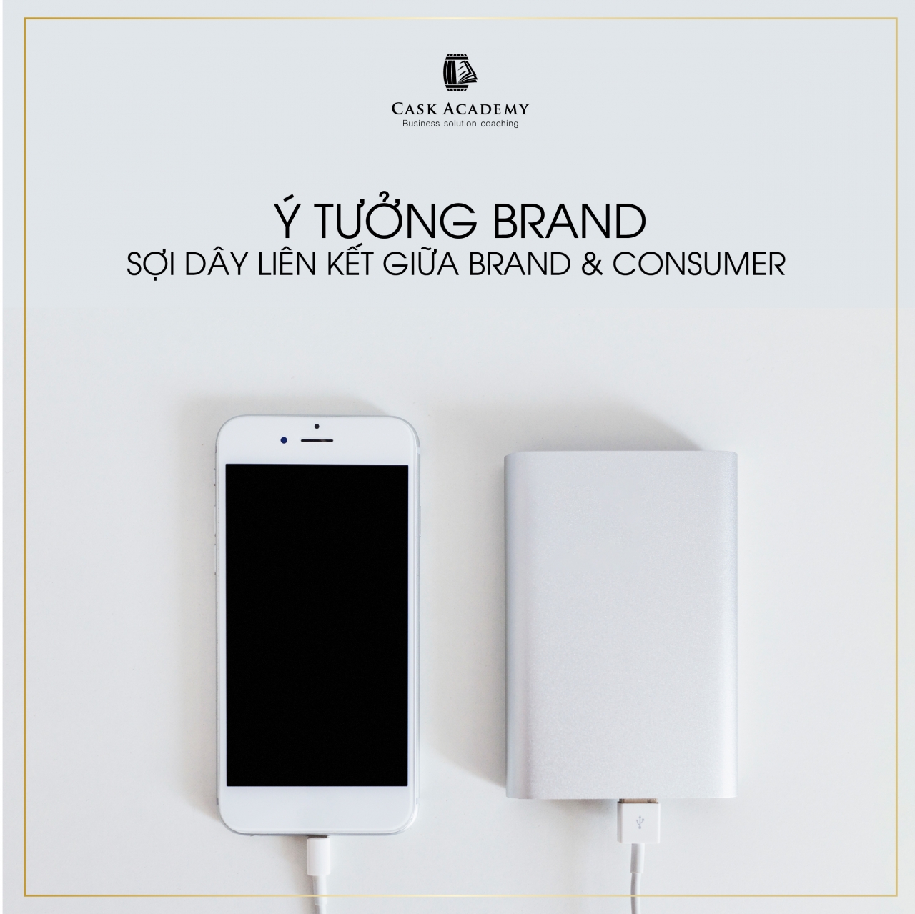  Xây dựng Thương hiệu Đáng yêu: Ý tưởng Thương hiệu và Kênh Triển khai