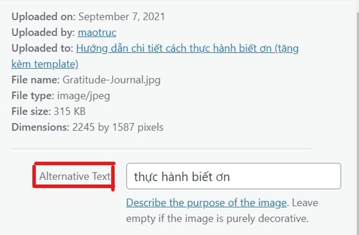  Sử dụng Hình ảnh Hiệu Quả trong Viết Blog