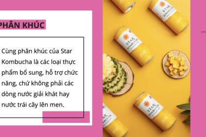 Phát triển sản phẩm mới: Quá trình hình thành và triển khai dòng sản phẩm nước uống lên men Star Kombucha
