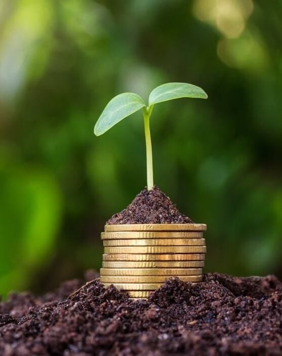                          Tài trợ Hạt giống: Nguồn lực thiết yếu cho các Startup Giai đoạn Đầu            