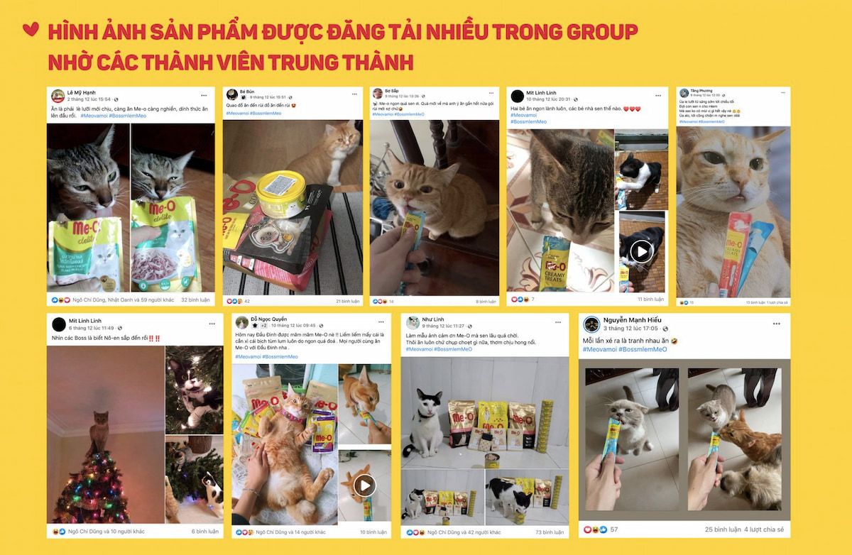  Thấu hiểu nhu cầu của thú cưng để chinh phục thị trường sản phẩm dành riêng