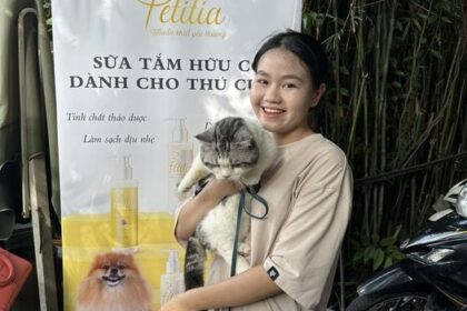 Pet Wonderland: Xây dựng thế giới toàn diện cho thú cưng