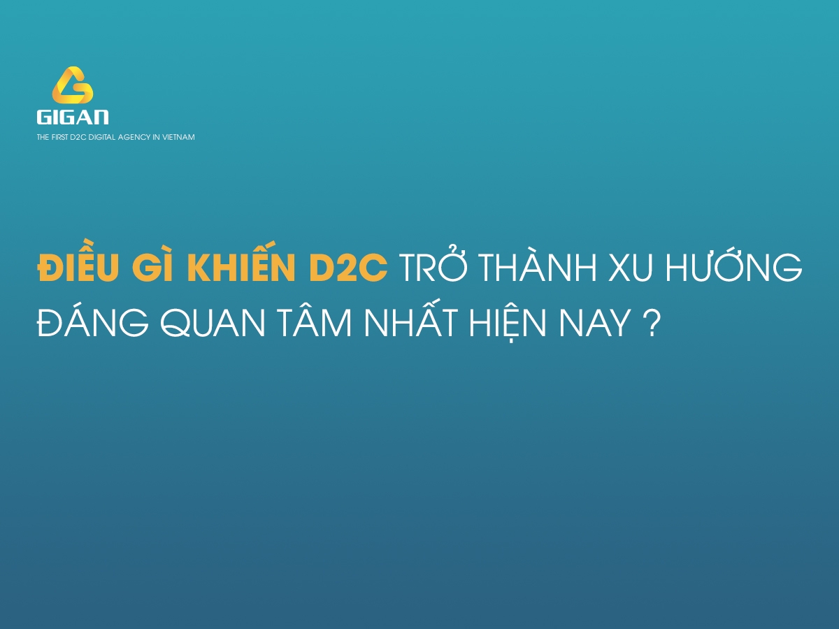  D2C: Mô hình kinh doanh đột phá trong tương lai của bán lẻ trực tuyến