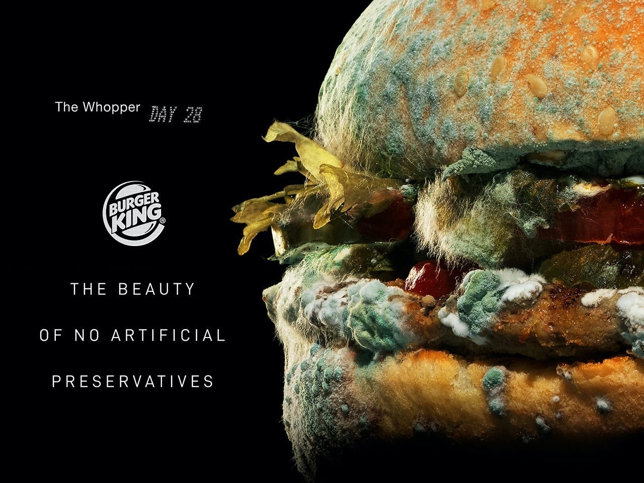  Cập nhật thế giới agency: WPP, Accenture, YouNet, Wavemaker và Omnicom
